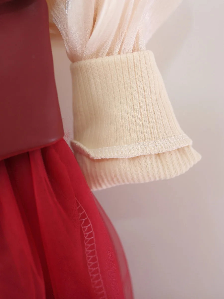 Baby Girls' Dress Spring And Autumn  Girls Toddlers' Warm Dress Two-piece Puff-Sheen Stylish Princess Dress